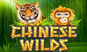 spicy bet Chinese Wilds